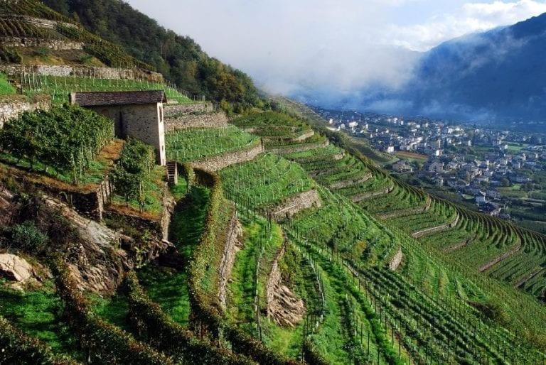 Sofi Apartment Chiavenna Dış mekan fotoğraf