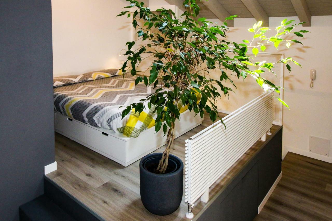 Sofi Apartment Chiavenna Dış mekan fotoğraf